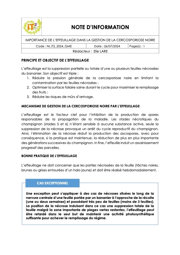 [CERCOTROP] Importance de l’effeuillage dans la gestion de la cercosporiose noire