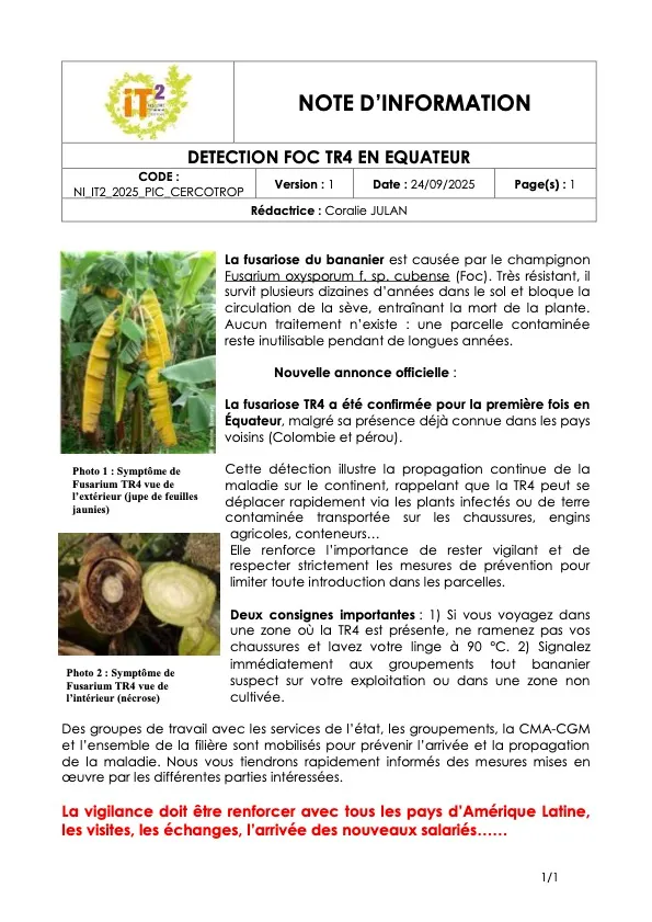 Alerte FOC TR4 en Equateur(NI_IT2_2025_Alerte-Foc-TR4-v1 )