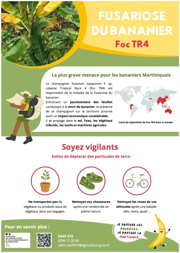 Alerte FOC TR4 en Equateur (Affiche_voyageurs_port-aeroport)