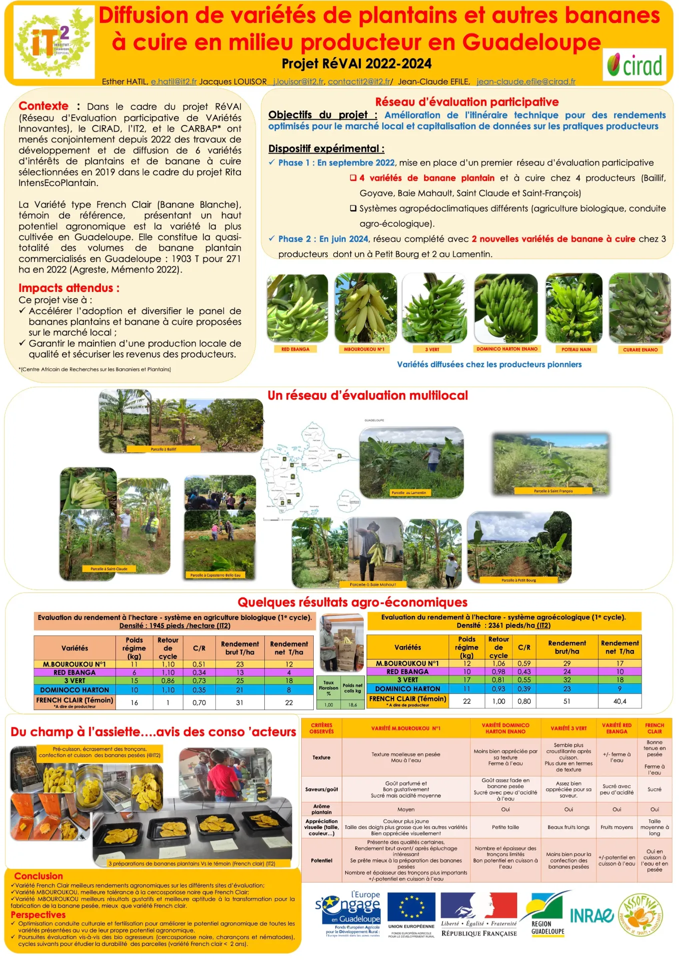REVAI – Diffusion de variétés de plantains et autres bananes à cuire  (DOC_IT2_AMV_REVAI_2024_Poster-Plantain-et-Banane-a-cuire)