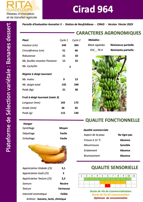 Améliorer la conservation et la qualité post-récolte des fruits (banane, mangue, citrus) (fiches-varietales-964_965_966)