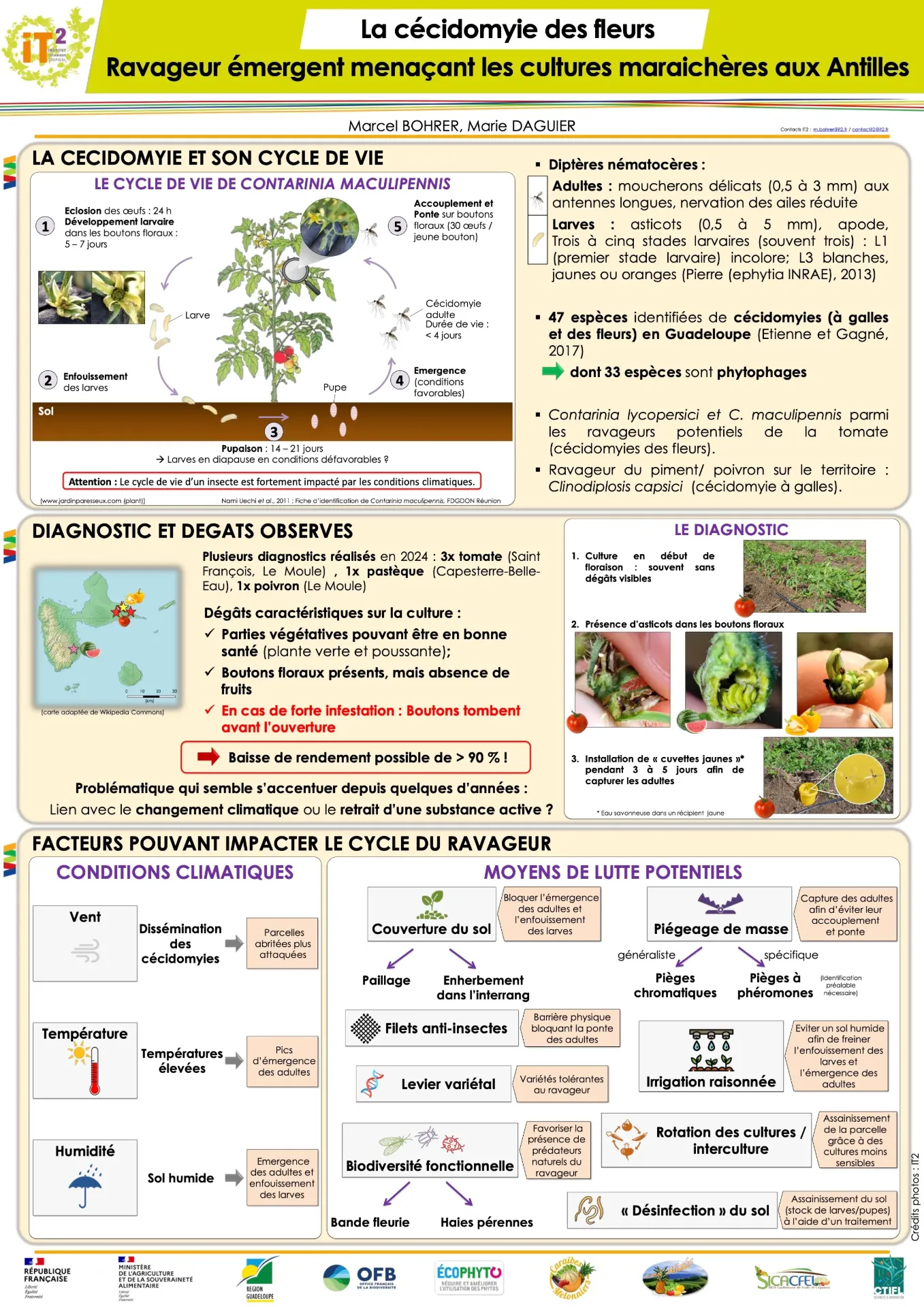 PISTIL – La cécidomyie des fleurs (ENR_IT2_2024_SV_Poster_PISTIL_Cecidomyie_AG2024_vf2)