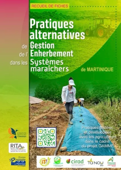 Pratiques alternatives de gestion de l’enherbement dans les systèmes maraîchers (recueil-fiches-enherbement-martinique)