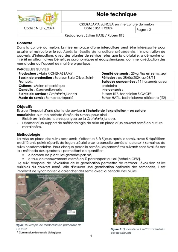 Note technique – Crotalaire en interculture du melon (NT_IT2_2024_STRUCTURE_Evaluation-crotalaire_Alain-KICHENASSAMY)
