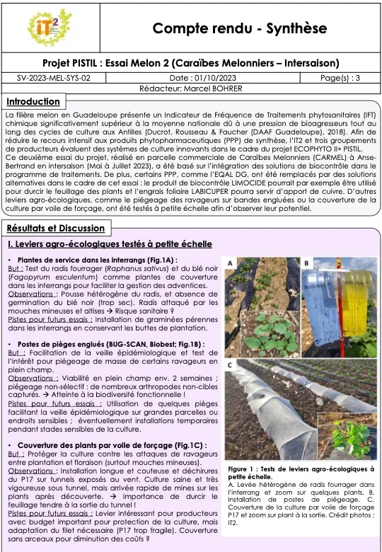 PISTIL : Synthèses des essais melon 2023 (CR_IT2_2023_SV_PISTIL_MEL_Synthese-essai-02-CARMEL)