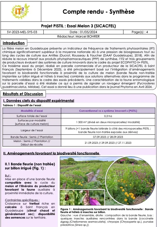 PISTIL : Synthèses des essais melon 2023 (CR_IT2_2023_SV_PISTIL_MEL_Synthese-essai-03-SICACFEL)
