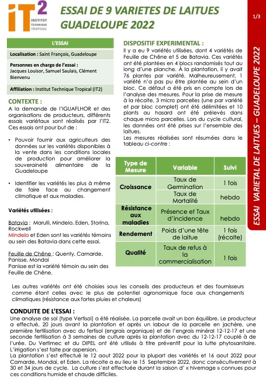 Essais variétaux – Culture Laitue (DOC_IT2_2022-_Resume-resultats-ESSAI-VARIETAL-LAITUE)