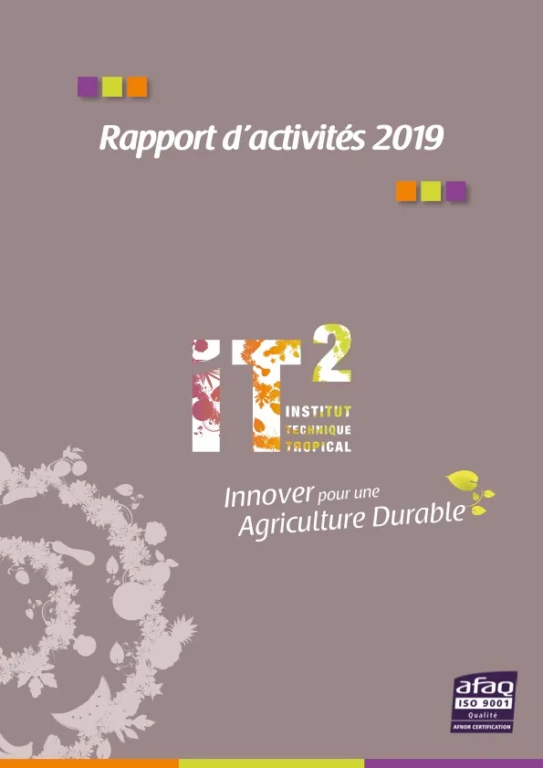Rapport d’activités de l’IT2 : 2019 (ENR_IT2_2019_RAPPORT-ACTIVITE)