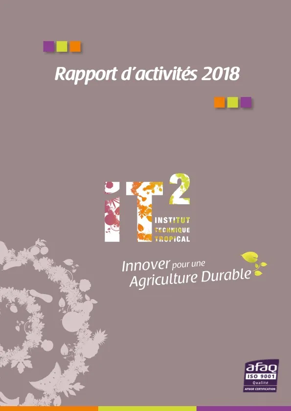 Rapport d’activités de l’IT2 : 2018 (Rapport-dactivites-2018-IT2-pour-le-web)
