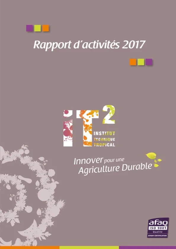 Rapport d’activités de l’IT2 : 2017  (IT2-Rapport-dActivites-2017-BD-page-a-page)