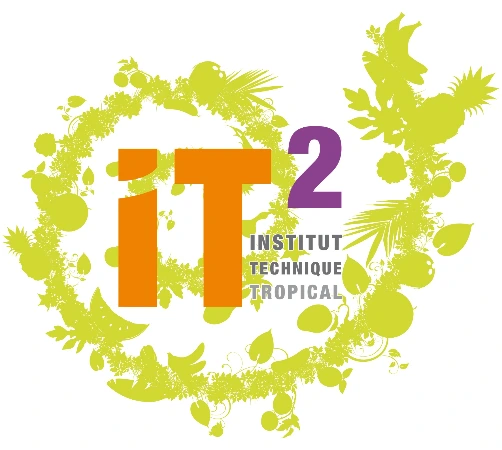Institut Technique Tropical